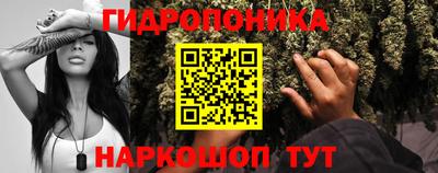 дурь Ставрополь
